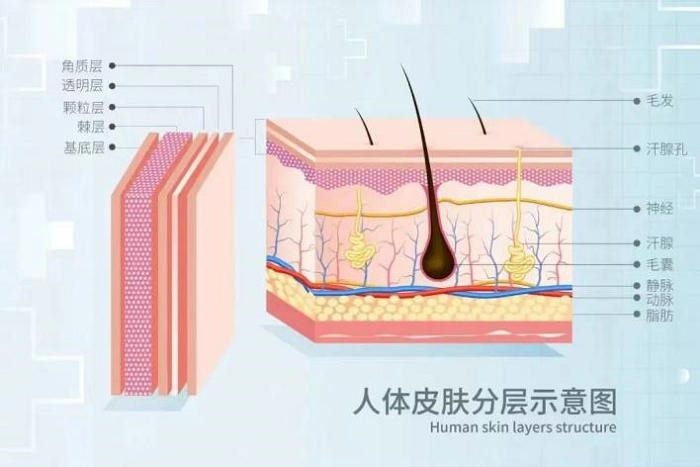image001_副本 image001_副本