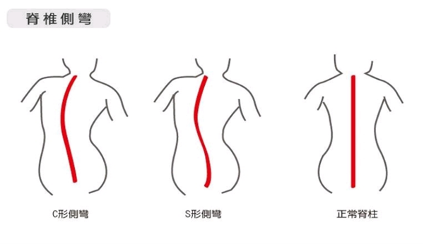图片1 图片1