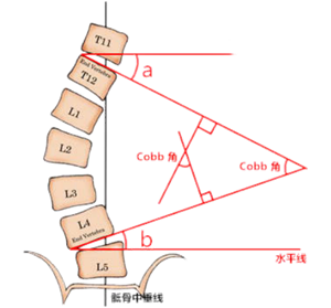 图片2 图片2