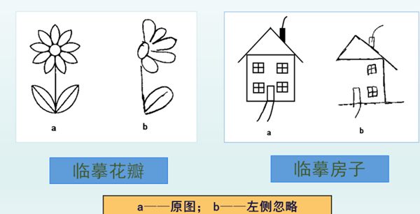 图片5 图片5