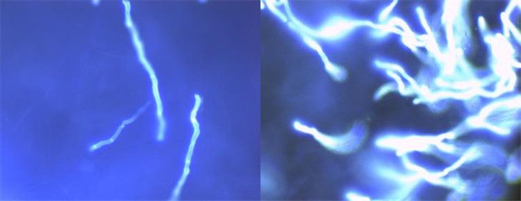 image001_副本 image001_副本