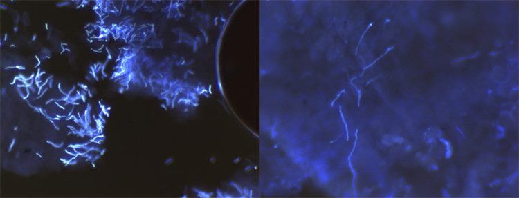 image005_副本 image005_副本