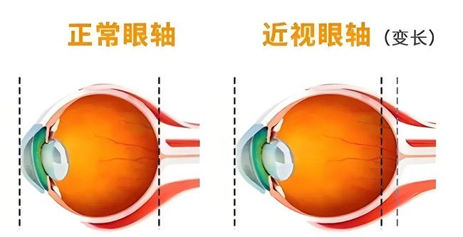 640 (6)_副本 640 (6)_副本