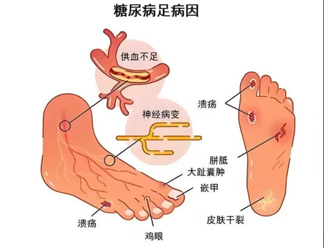 640_副本 640_副本