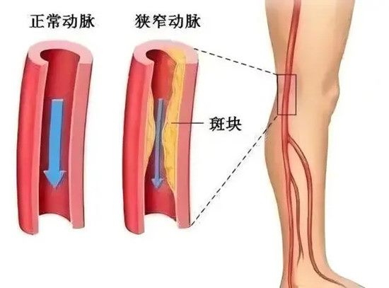 640 (2)_副本 640 (2)_副本