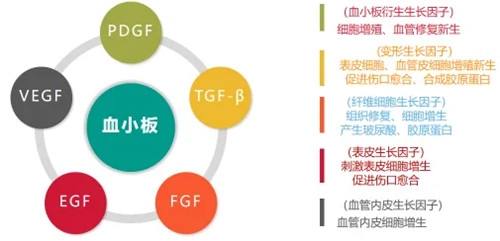 640 (2)_副本 640 (2)_副本