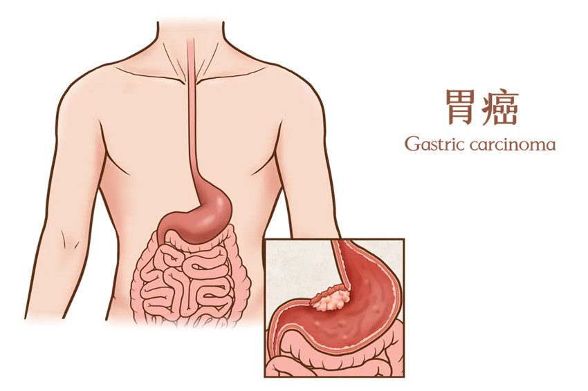 640 (6)_副本 640 (6)_副本