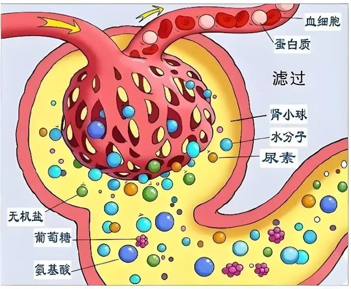 640 (2)_副本 640 (2)_副本