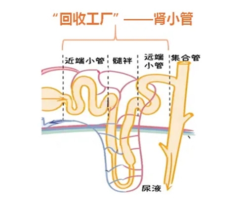 640 (3)_副本 640 (3)_副本