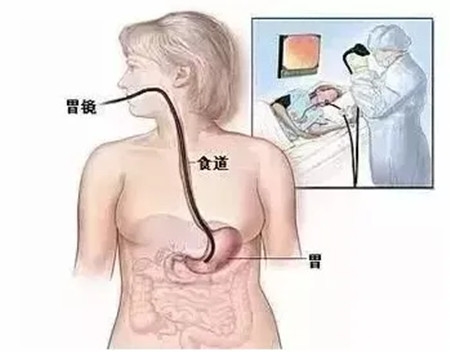 640 (2)_副本 640 (2)_副本