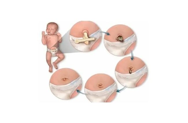 640 (1)_副本 640 (1)_副本