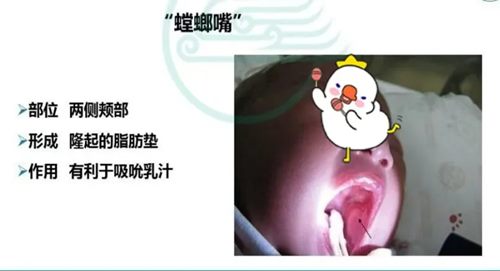 640 (3)_副本 640 (3)_副本