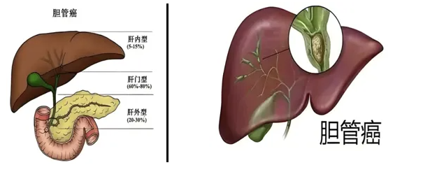 QQ截图20250721083604