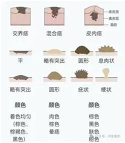 640 (1)_副本
