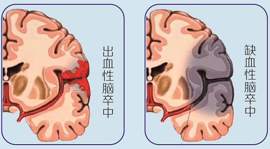 微信图片_20250906113454
