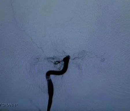 640_副本 640_副本