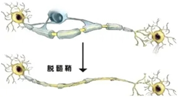 640_副本 640_副本