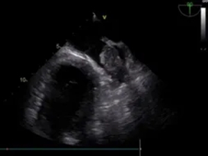 640 (1)_副本 640 (1)_副本