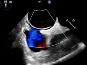 640 (3)_副本 640 (3)_副本