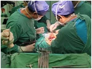 640 (2)_副本1 640 (2)_副本1