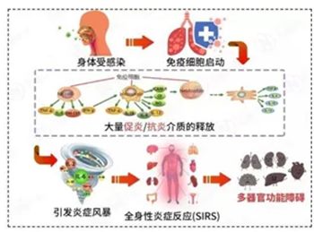 640_副本 640_副本