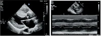 640_副本 640_副本