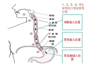 微信图片_2026-01-15_174244_915 微信图片_2026-01-15_174244_915