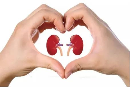 640 (1)_副本 640 (1)_副本