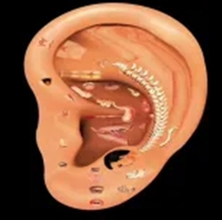 640_副本 640_副本