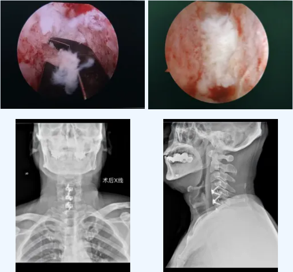 QQ截图20260206082940