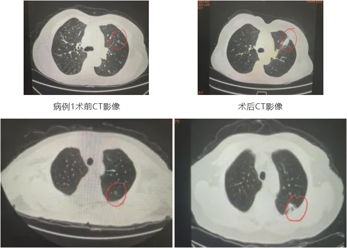 QQ截图20260213091011 QQ截图20260213091011