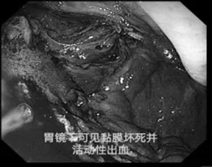 640_副本 640_副本