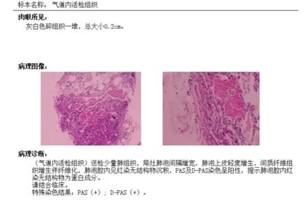 640_副本 640_副本