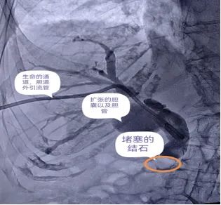 640_副本 640_副本