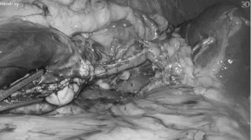 640 (1)_副本_副本