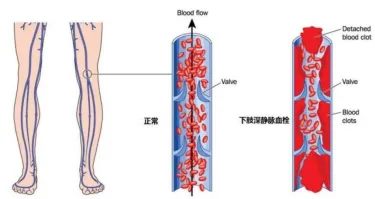640_副本 640_副本