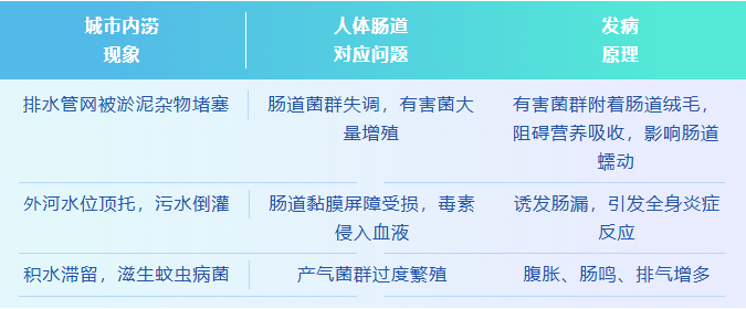 QQ截图20260825101325