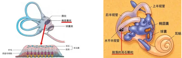 QQ截图20261022094209 QQ截图20261022094209