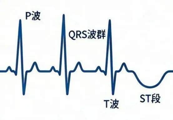 640_副本 640_副本