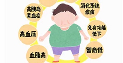 从心脏衰竭到癌症催化，每一斤脂肪都在透支生命！